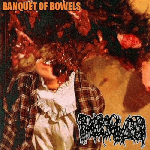 Dissolved : Banquet of Bowels